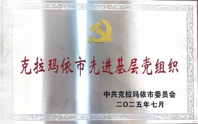 油气销售公司党支部荣获市级先进基层党组织